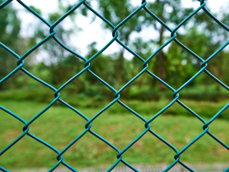 FENCE 1 (2)
