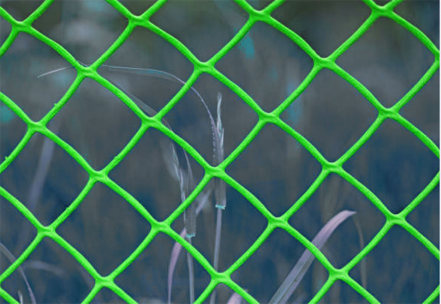 FENCE 1 (3)