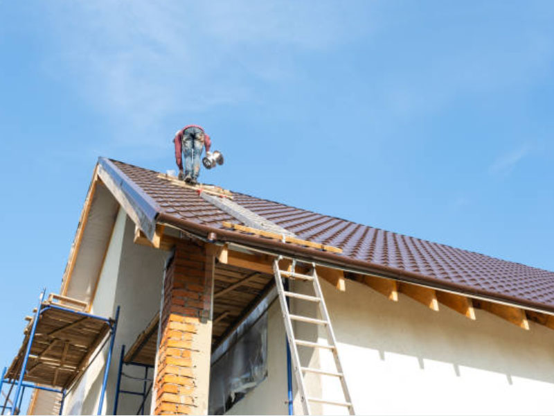 ROOF REP (2)