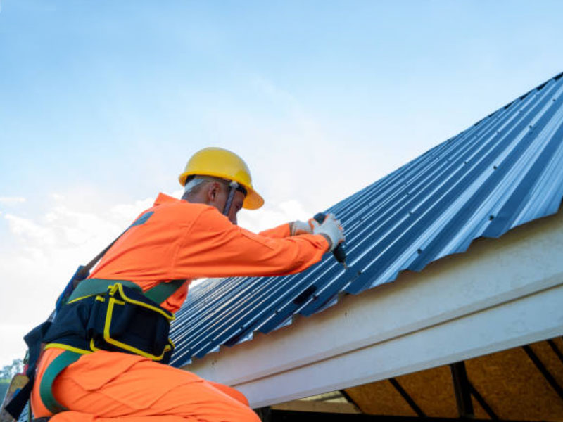 ROOF REP (3)